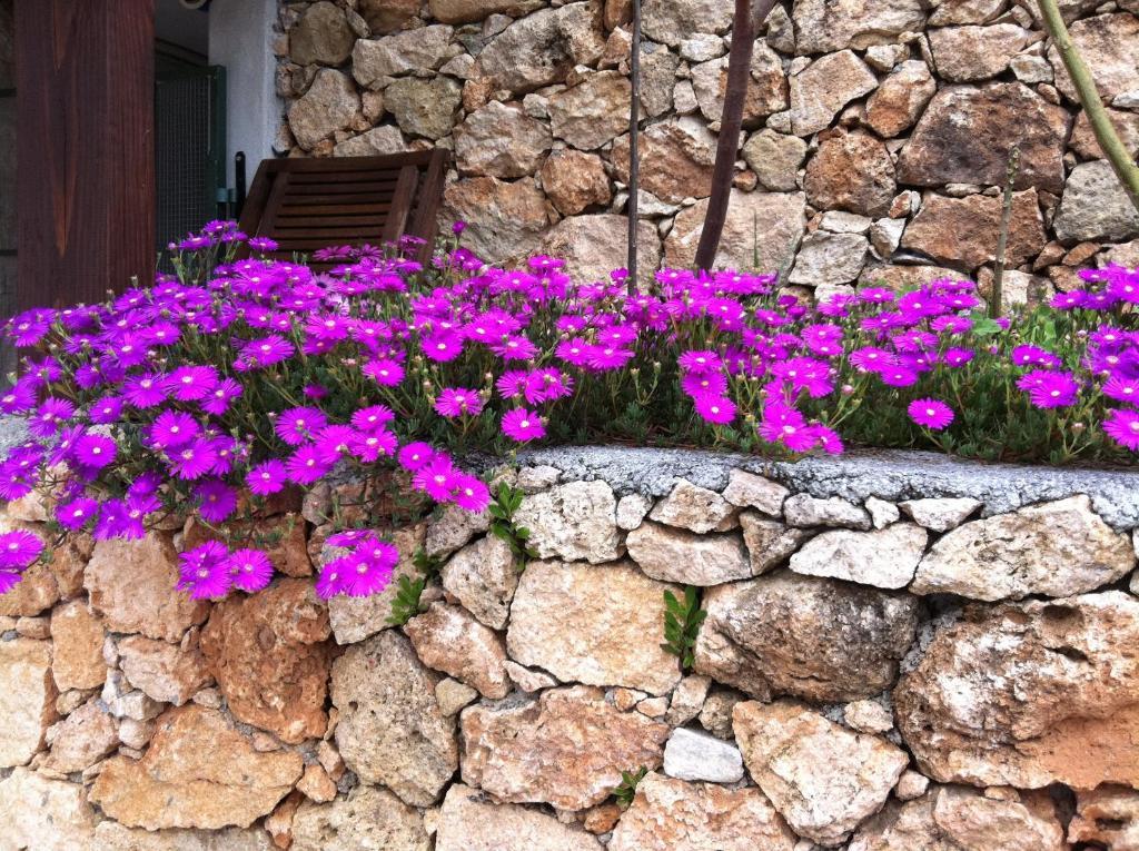 Agriturismo La Rocca Di Perti Villa Finale Ligure Exterior photo